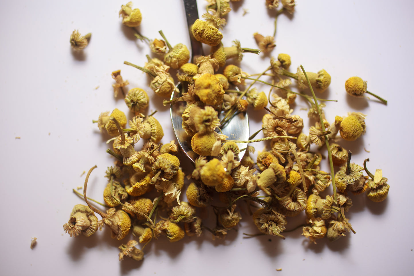 Chamomile